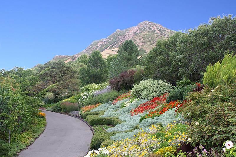 floral-walk-red-butte