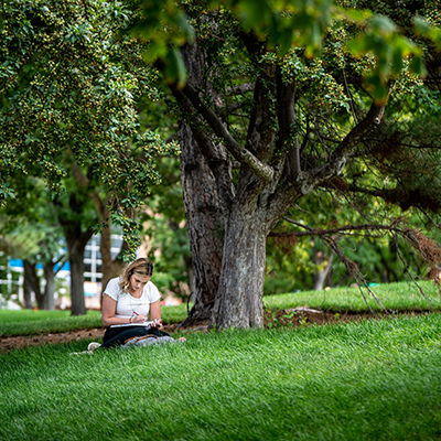 person studying under a tree